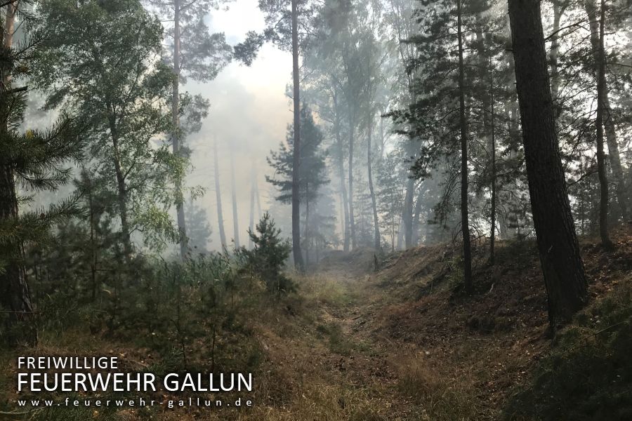 2018 - Waldbrand in der Lieberoser Heide